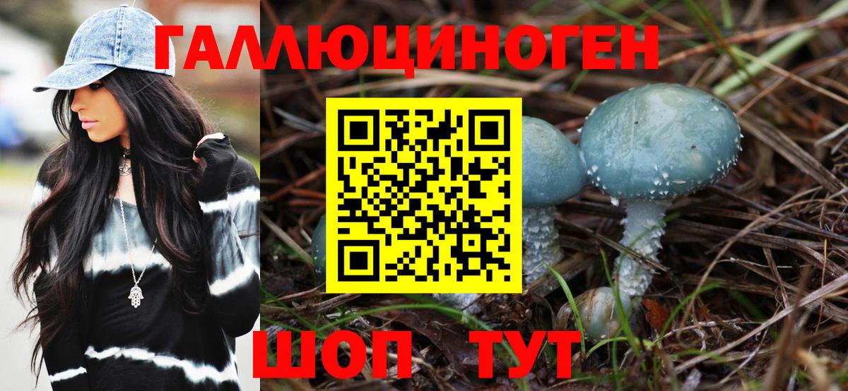 Псилоцибиновые грибы Magic Shrooms  как найти   Вход с VPN  Зеленогорск  Псилоцибиновые грибы Cubensis 