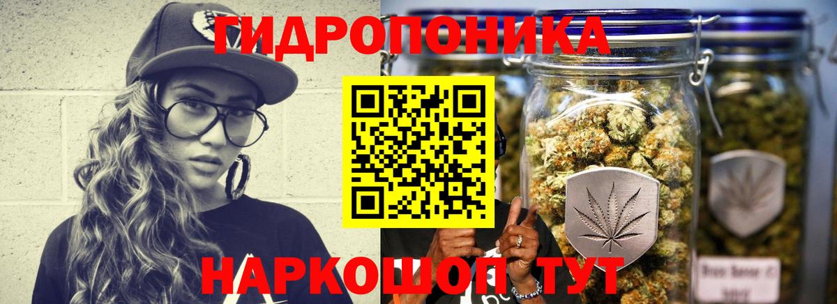 МАРИХУАНА планчик  Конопля марихуана  Конопля OG Kush  Марихуана SATIVA & INDICA  Зеленогорск  Вход с VPN 